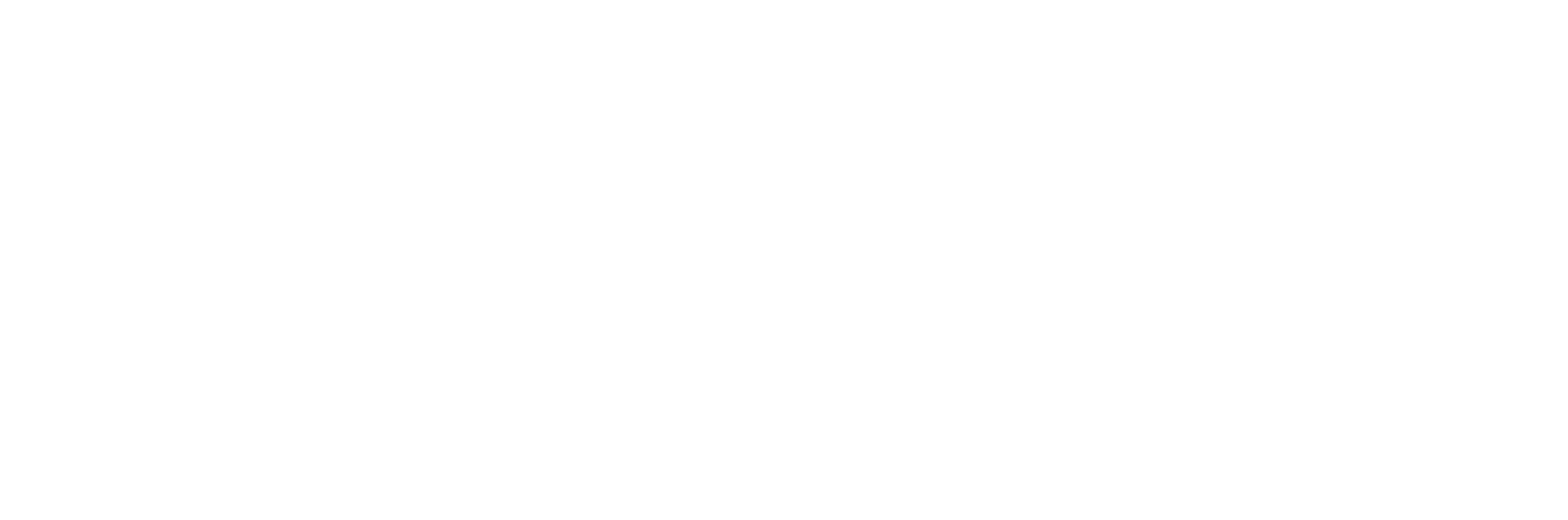 JetSRM Logo